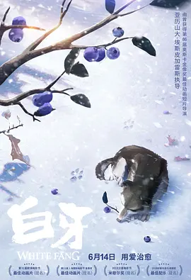 可知子